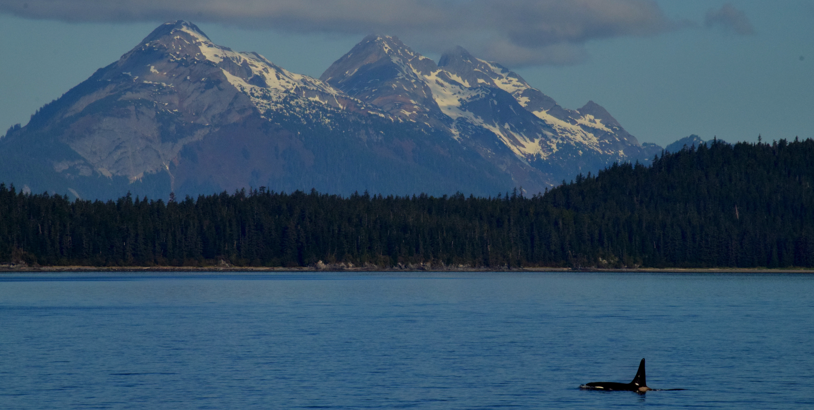 -UnCruise Adventures